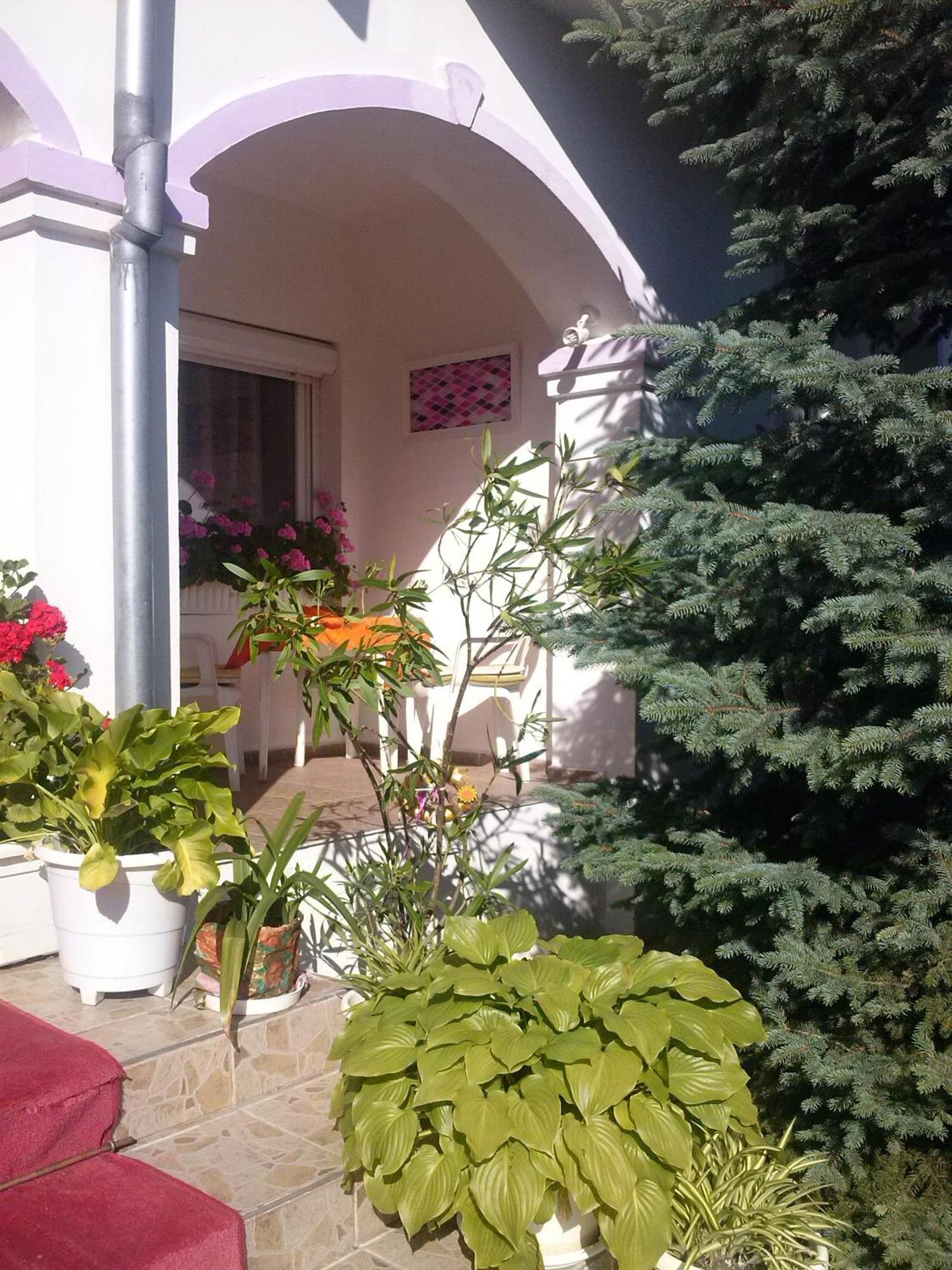 Pension Óvári Buk Exterior foto