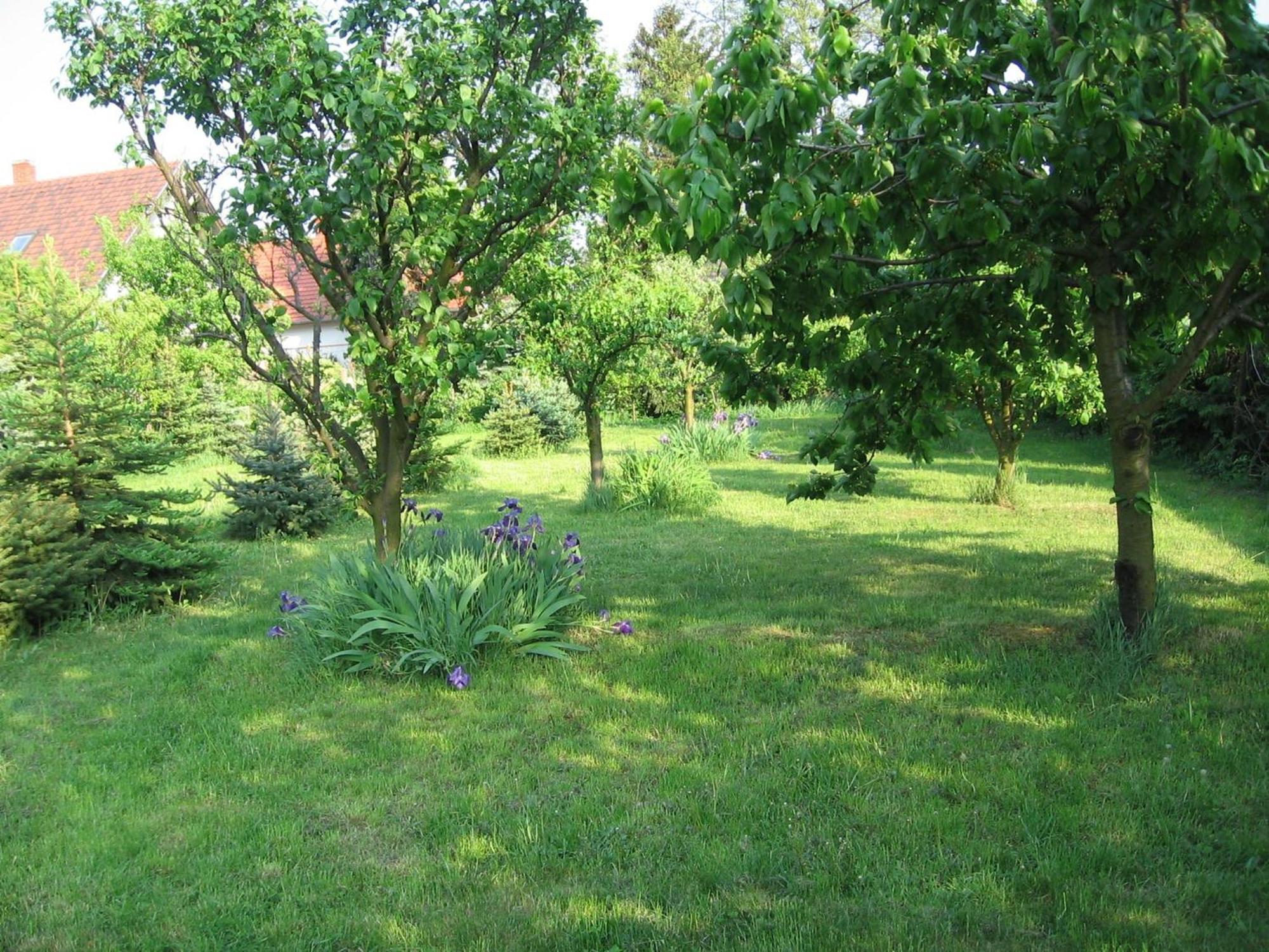Pension Óvári Buk Exterior foto