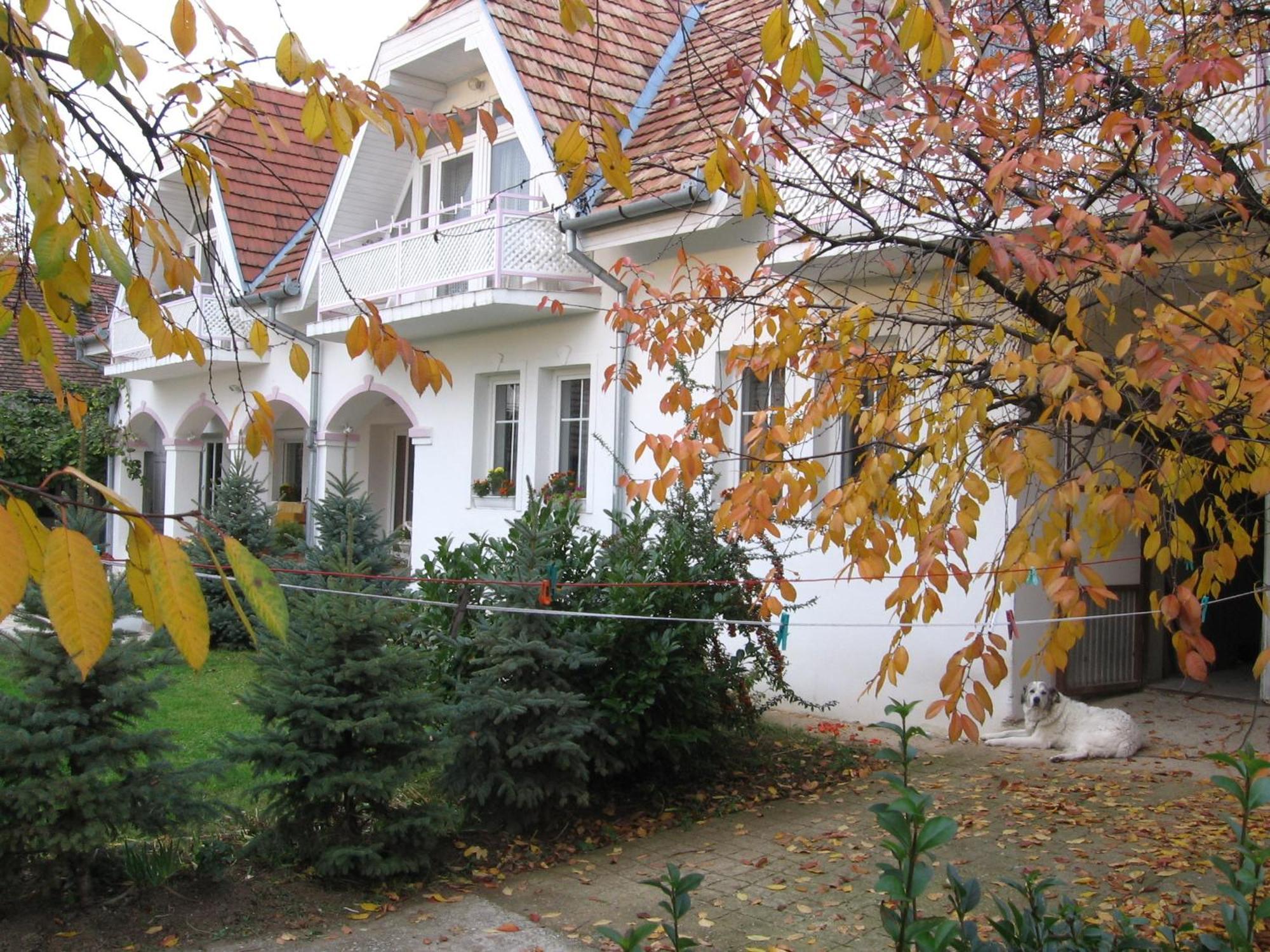 Pension Óvári Buk Exterior foto