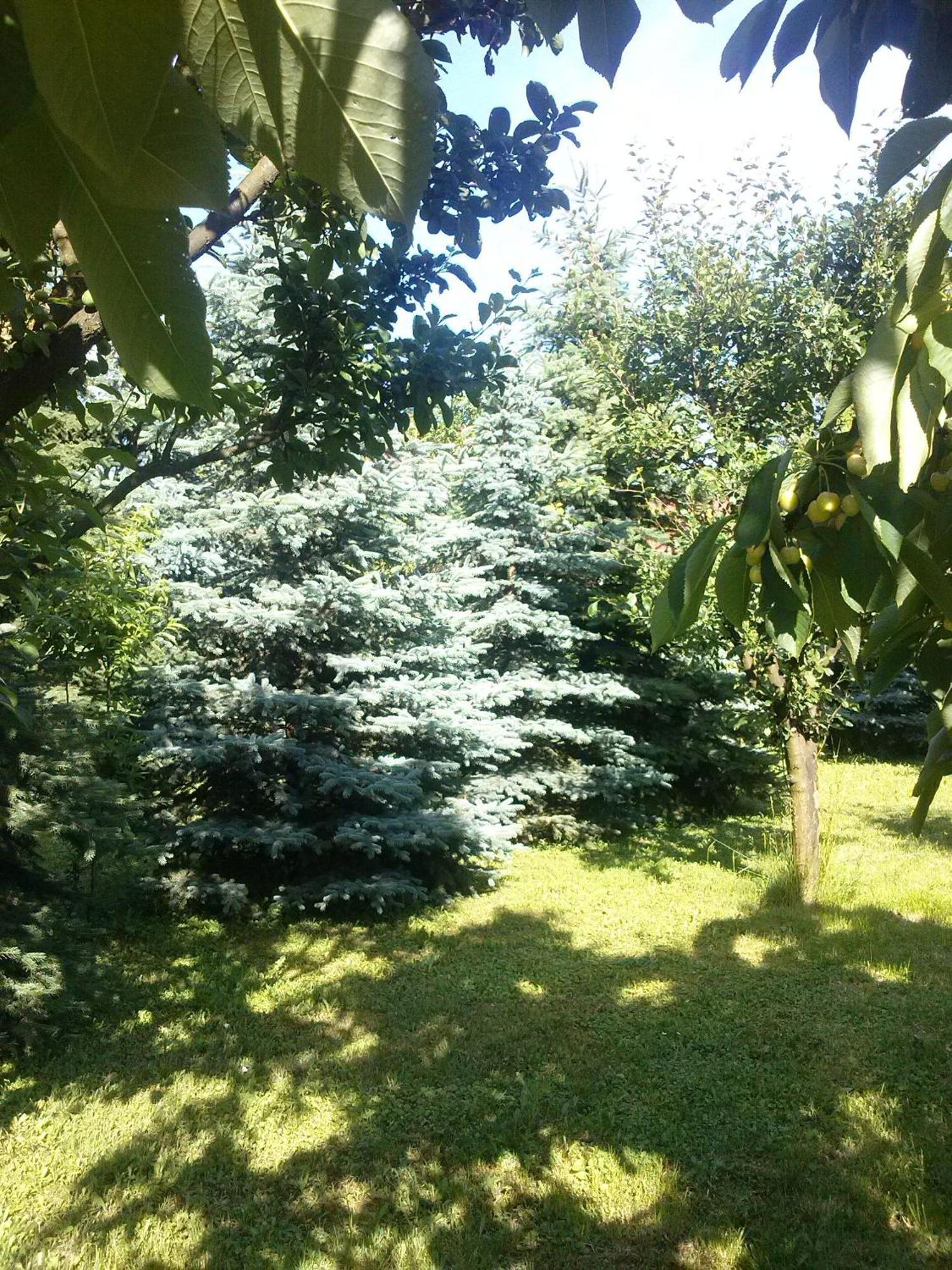 Pension Óvári Buk Exterior foto